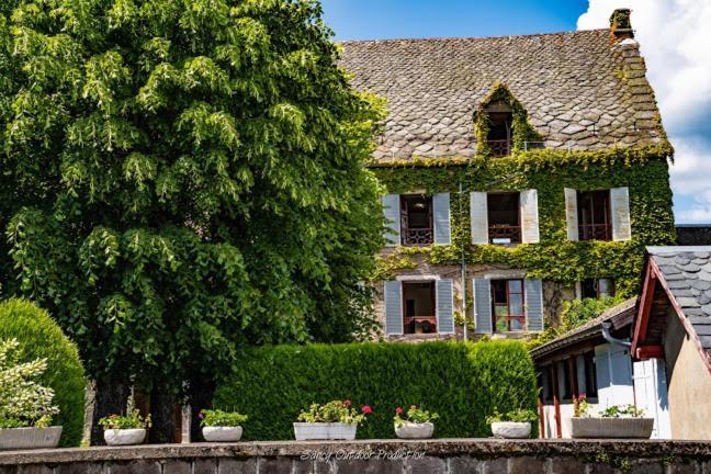 les tilleuls Besse-et-Saint-Anastaise Extérieur photo