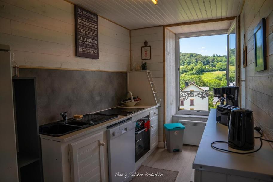 les tilleuls Besse-et-Saint-Anastaise Extérieur photo